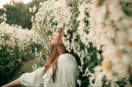 gedrag transformatie